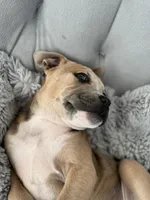 processed/83287ecb-e25d-4592-914c-a892bb2b2f79/listing/0e04b58b-f48f-4550-9c3d-0c489e526cc6/c0d58392-0d11-42c7-a8ff-46567b8bb9a0