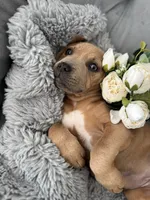 processed/83287ecb-e25d-4592-914c-a892bb2b2f79/listing/1c5c1903-f2c6-44fd-b568-125713560ef7/10a3b348-ae11-4f8b-bc04-6dce3737c1fe