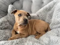 processed/83287ecb-e25d-4592-914c-a892bb2b2f79/listing/1c5c1903-f2c6-44fd-b568-125713560ef7/2dfcee99-0683-42c9-813e-78ab497849a0