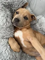 processed/83287ecb-e25d-4592-914c-a892bb2b2f79/listing/1c5c1903-f2c6-44fd-b568-125713560ef7/60d76a8d-880b-4ee4-a3d8-07b4b7b95ae6