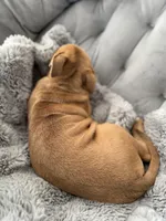 processed/83287ecb-e25d-4592-914c-a892bb2b2f79/listing/fcb00978-b969-4907-8ab0-f035207e3373/1c058df9-05e1-4ef2-af9a-c206bb1edae5