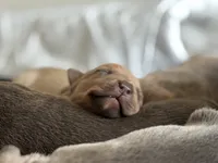 processed/83287ecb-e25d-4592-914c-a892bb2b2f79/listing/fcb00978-b969-4907-8ab0-f035207e3373/bbaafea4-5041-46c4-bee0-0abd9ed9b1ef