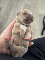 processed/83287ecb-e25d-4592-914c-a892bb2b2f79/listing/fcb00978-b969-4907-8ab0-f035207e3373/c0459666-dc2d-43e8-aa08-53c7cafff0f7