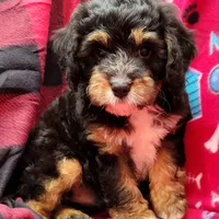 processed/832dd865-a584-40f4-a768-3b14bfd126ee/facility/4420a1a0-e90d-4dd5-bb61-d12c37001273