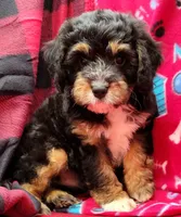 processed/832dd865-a584-40f4-a768-3b14bfd126ee/facility/4420a1a0-e90d-4dd5-bb61-d12c37001273