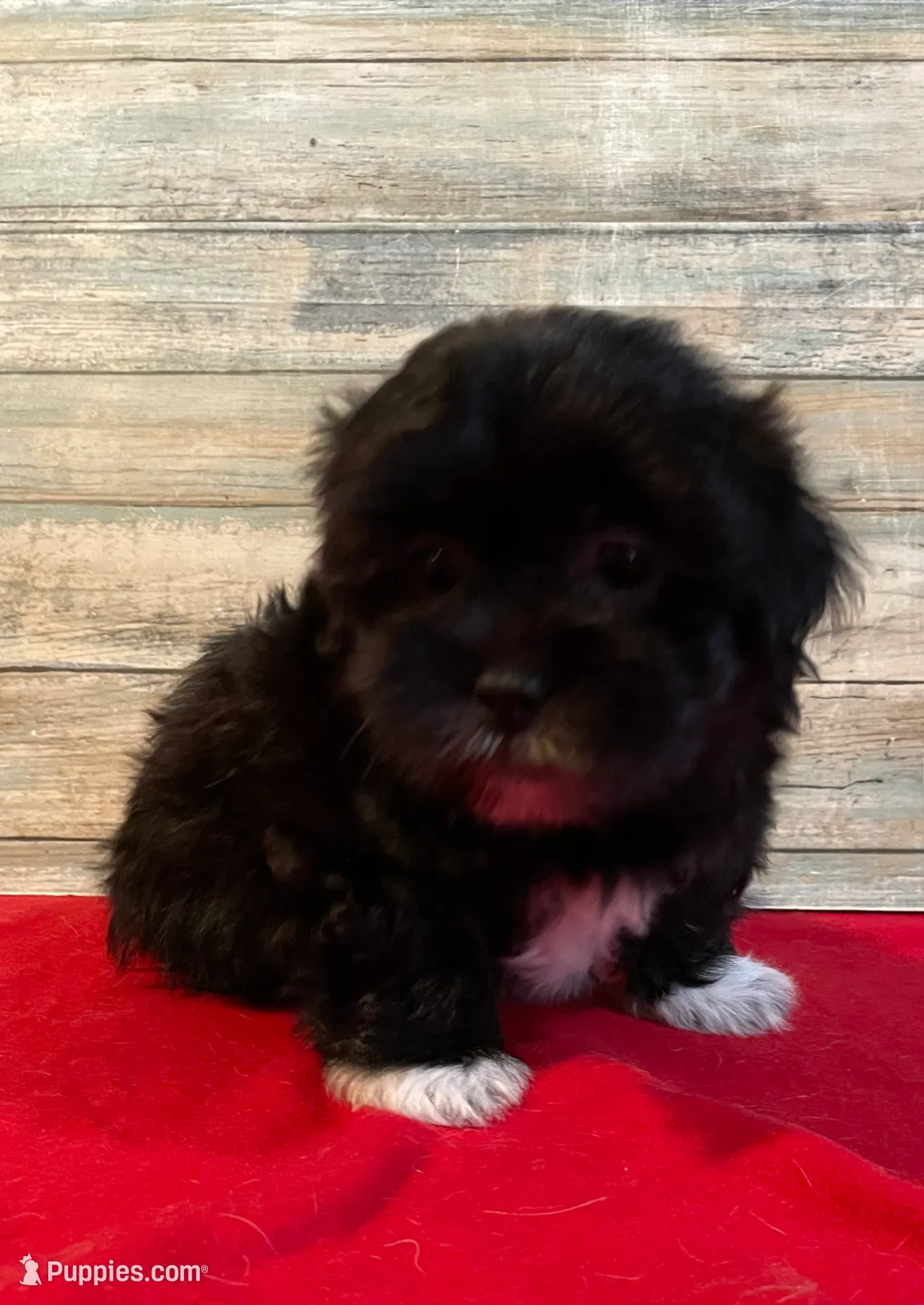 processed/832dd865-a584-40f4-a768-3b14bfd126ee/listing/8dadd80b-c373-4747-92f0-bbfcaf81f5d1/2365207f-2d35-4d93-981e-a7b8eb79a8d6