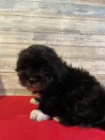 processed/832dd865-a584-40f4-a768-3b14bfd126ee/listing/8dadd80b-c373-4747-92f0-bbfcaf81f5d1/be7de15b-0dae-4d03-aeaf-5a4c18efb0e3