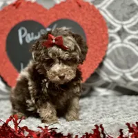 processed/832f0c63-1d78-4538-8727-3224c3bc6311/facility/51ad4727-caa7-47c8-b405-0e5231008b55