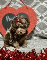 processed/832f0c63-1d78-4538-8727-3224c3bc6311/facility/51ad4727-caa7-47c8-b405-0e5231008b55