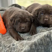 processed/832f0c63-1d78-4538-8727-3224c3bc6311/facility/7eb69626-9db1-427d-b296-92483fd00030