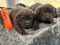 processed/832f0c63-1d78-4538-8727-3224c3bc6311/facility/7eb69626-9db1-427d-b296-92483fd00030