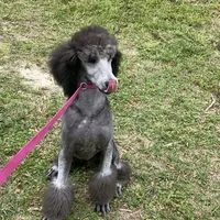 processed/832f0c63-1d78-4538-8727-3224c3bc6311/facility/a87fea9e-968e-40c9-b7e4-72c63bb987c1