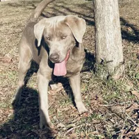 processed/832f0c63-1d78-4538-8727-3224c3bc6311/facility/b7796718-6e35-4466-824d-4adf351eb980