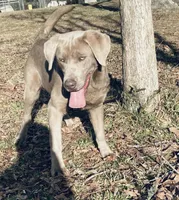 processed/832f0c63-1d78-4538-8727-3224c3bc6311/facility/b7796718-6e35-4466-824d-4adf351eb980