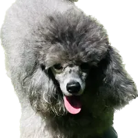 processed/832f0c63-1d78-4538-8727-3224c3bc6311/facility/be6c7845-96db-4960-8259-20dacef9c946