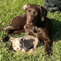 processed/832f0c63-1d78-4538-8727-3224c3bc6311/facility/d61942f2-66e7-4c2a-8aa2-755b626556b4