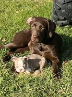 processed/832f0c63-1d78-4538-8727-3224c3bc6311/facility/d61942f2-66e7-4c2a-8aa2-755b626556b4