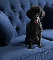 processed/832f0c63-1d78-4538-8727-3224c3bc6311/listing/1ad090b6-fc46-44e4-a531-49ba52b57c28/0804da73-e48a-4609-9685-bf798f4f45e1