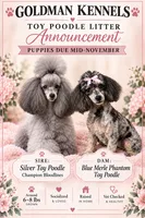 Phantoms- Phatom Carriers / Ready by Christmas, a  Poodle - Toy  for sale in Mobile, AL – 1 of 1