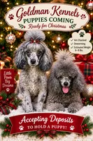 Ch. bloodlines/ Ready by Christmas , a  Poodle - Toy  for sale in Mobile, AL – 1 of 1