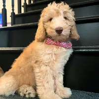 processed/8332ab8e-39b3-433b-9929-7b4e3ed44132/facility/04dee97f-269e-431b-9aef-ccee3a64c932