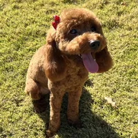 processed/8332ab8e-39b3-433b-9929-7b4e3ed44132/facility/5067d985-4457-4fb7-b76f-979827a33e86