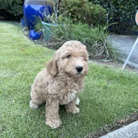 processed/8332ab8e-39b3-433b-9929-7b4e3ed44132/facility/538f9a61-8fd7-419d-aa8c-33410477fc7e