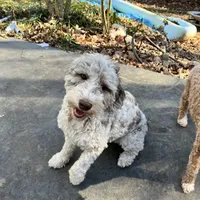 processed/8332ab8e-39b3-433b-9929-7b4e3ed44132/facility/74ff08a5-edcf-4e81-a9fc-699c0f6ad47a