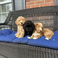 processed/8332ab8e-39b3-433b-9929-7b4e3ed44132/facility/8bd303ea-fc16-497d-81c7-1adbdd1d6679