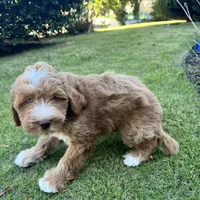 processed/8332ab8e-39b3-433b-9929-7b4e3ed44132/facility/a9658435-7614-44e0-a5af-1c9bc21e9acf