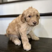 processed/8332ab8e-39b3-433b-9929-7b4e3ed44132/facility/d9f77ac5-e4ab-4159-9092-86160dabf089