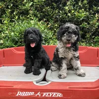 processed/8332ab8e-39b3-433b-9929-7b4e3ed44132/facility/e7f1b673-519e-47d8-b233-2eb8186b01fe