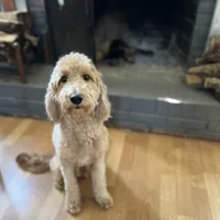 processed/8332ab8e-39b3-433b-9929-7b4e3ed44132/facility/ea650953-7472-47ab-b753-fb0ab4ea6b85