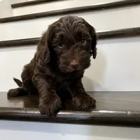 processed/8332ab8e-39b3-433b-9929-7b4e3ed44132/facility/f0f2154a-4cbf-48d9-b6ff-1ac72972a7e5