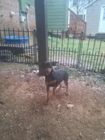 processed/83388f17-2fb2-4512-b462-f4bb50200b13/facility/824c7be2-e51c-45eb-b31f-75692ee218d6