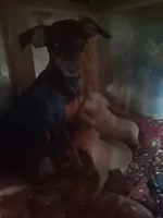 processed/83388f17-2fb2-4512-b462-f4bb50200b13/facility/9205ec7b-ec71-4f60-8864-2e6af4a124cf