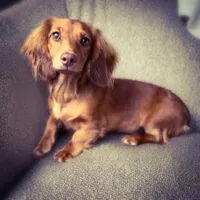 processed/834825aa-8595-44d0-9c1a-88100746f710/facility/0744d462-c9f7-4b13-a992-3e36ba83b367