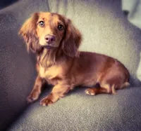 processed/834825aa-8595-44d0-9c1a-88100746f710/facility/0744d462-c9f7-4b13-a992-3e36ba83b367