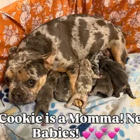 processed/834825aa-8595-44d0-9c1a-88100746f710/facility/c27b7d3a-5776-4ad3-986c-7543afca9d5c