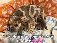 processed/834825aa-8595-44d0-9c1a-88100746f710/facility/c27b7d3a-5776-4ad3-986c-7543afca9d5c