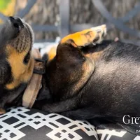 processed/834825aa-8595-44d0-9c1a-88100746f710/facility/c448b06f-8eac-439f-8fea-eb2651122e11