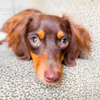 processed/834825aa-8595-44d0-9c1a-88100746f710/facility/ce6312b7-7bba-4100-8c05-9fe62cc83665