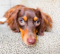 processed/834825aa-8595-44d0-9c1a-88100746f710/facility/ce6312b7-7bba-4100-8c05-9fe62cc83665