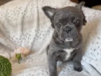 processed/834825aa-8595-44d0-9c1a-88100746f710/listing/b1634a69-44c4-494c-845a-bc52740b1854/928e2e11-1f10-4803-a9ad-caaffa1e96f7