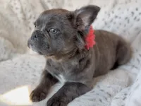 processed/834825aa-8595-44d0-9c1a-88100746f710/listing/b1634a69-44c4-494c-845a-bc52740b1854/96d708cd-6468-4973-96bf-ea009e7b0121