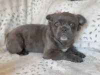 processed/834825aa-8595-44d0-9c1a-88100746f710/listing/b1634a69-44c4-494c-845a-bc52740b1854/aeb92105-633b-4787-a371-44b7ee8470eb