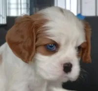 processed/834cba88-ac64-4906-a60f-631aa6944446/facility/618d972a-22ab-486d-ac6d-18df4db0561c