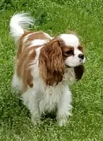 processed/834cba88-ac64-4906-a60f-631aa6944446/facility/6cb1500d-8acb-4cb3-9d6a-f29f65211304