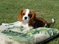 processed/834cba88-ac64-4906-a60f-631aa6944446/facility/d451465e-ceb0-404f-b941-1f804990d66c