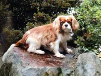 processed/834cba88-ac64-4906-a60f-631aa6944446/facility/f1a60ec6-a9e3-4243-8561-4f73c39e3acc